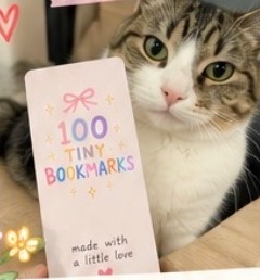 A 100 Tiny Bookmarks bookmark found in Taipei, Taiwan